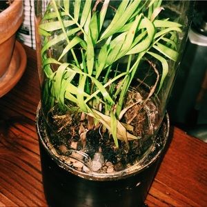 Meet your Posher, Claire